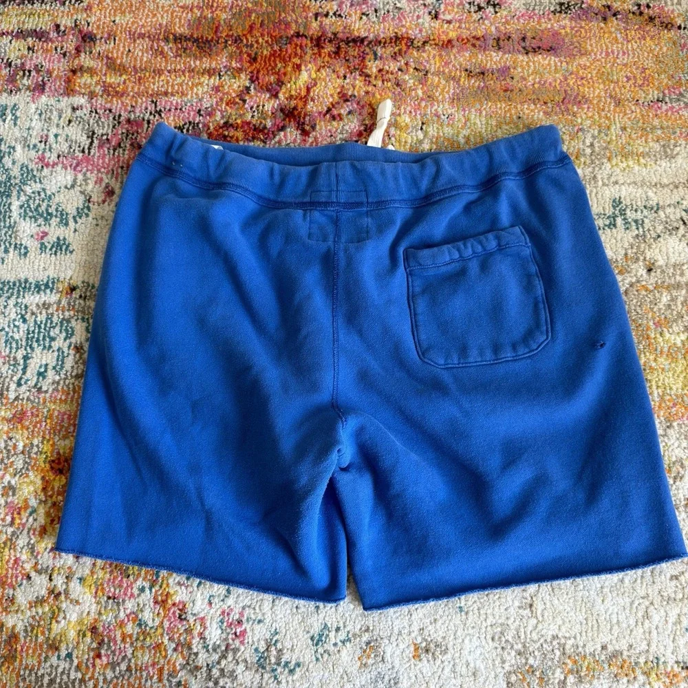 Vintage Y2K 2000s Hollister Fleece Cut-Off Sweat Shorts L